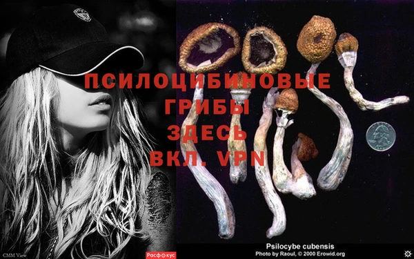 тгк Вяземский