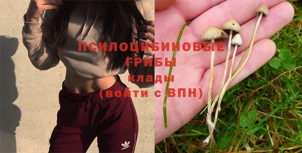 тгк Вяземский