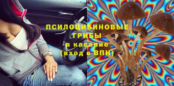 тгк Вяземский
